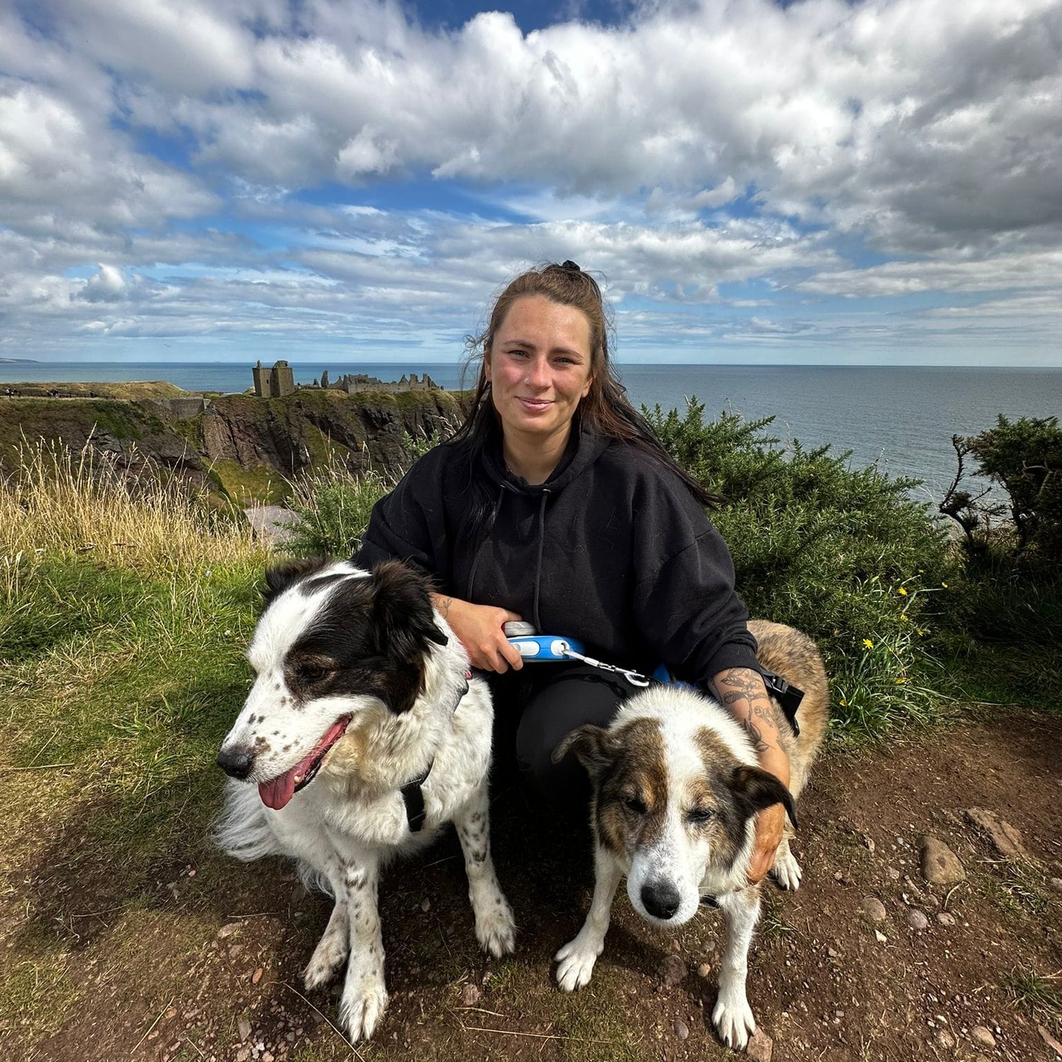 Dog walking in Dundee